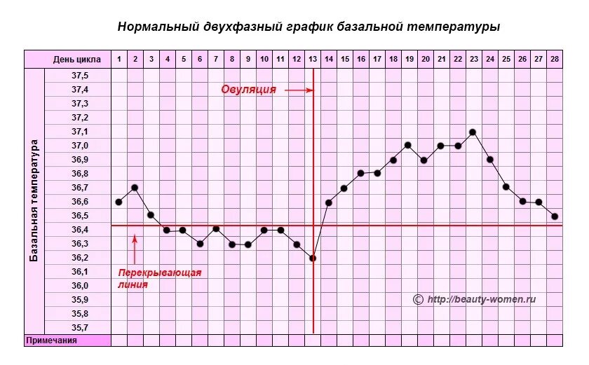 Забеременела с первого раза в день овуляции. График БТ С овуляцией и беременностью. Нормальный график базальной температуры. График базальной температуры норма с примерами. График базальной температуры беременной и небеременной.