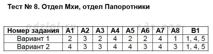 Тест 15. Тест 31 умножение и деление десятичных дробей вариант 1. Тест 33 умножение и деление десятичных дробей вариант 1. Тест 33 умножение и деление десятичных дробей вариант 2.