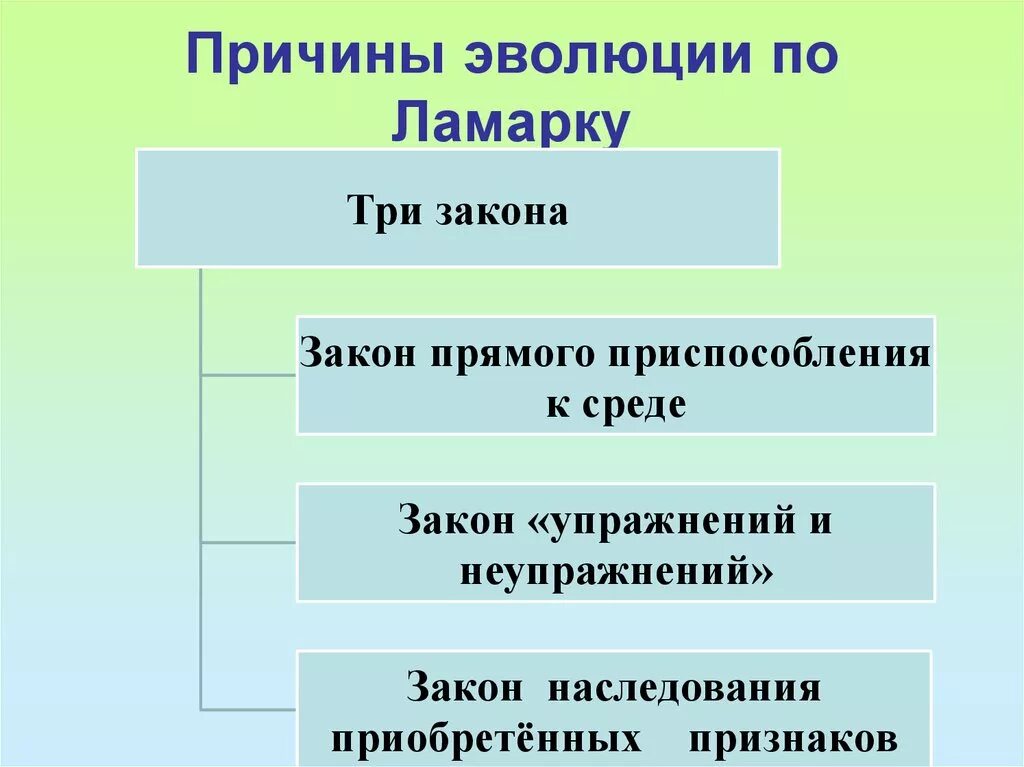 Основные причины эволюции по ж б ламарку