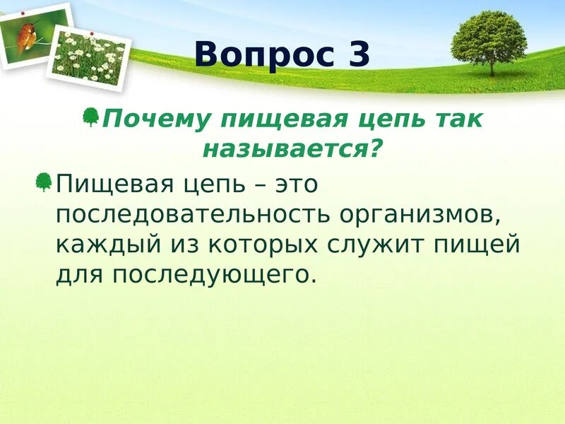 Природные сообщества презентация. Природные сообщества биология. Природные сообщества 5 класс. Природные сообщества 6 класс биология.