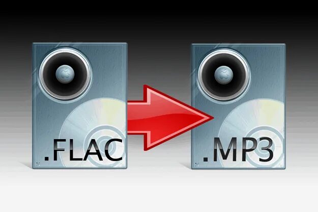 Flac что это