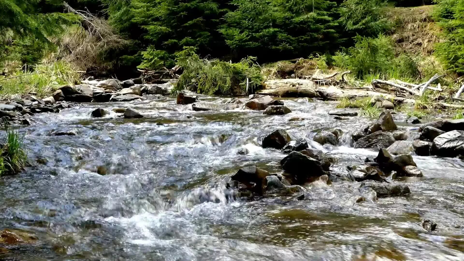 Шум воды ручья. Шумные горные реки. Журчание горной речки. Шум горной реки. Шум ручья.