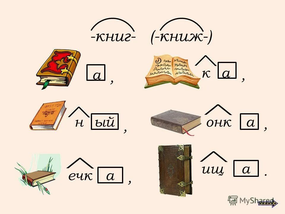 те которые книж 3. те которые книж 3. книжный шкаф гарун 209. книжный магазин в англии. «daunt books marylebone», лондон, великобритания.