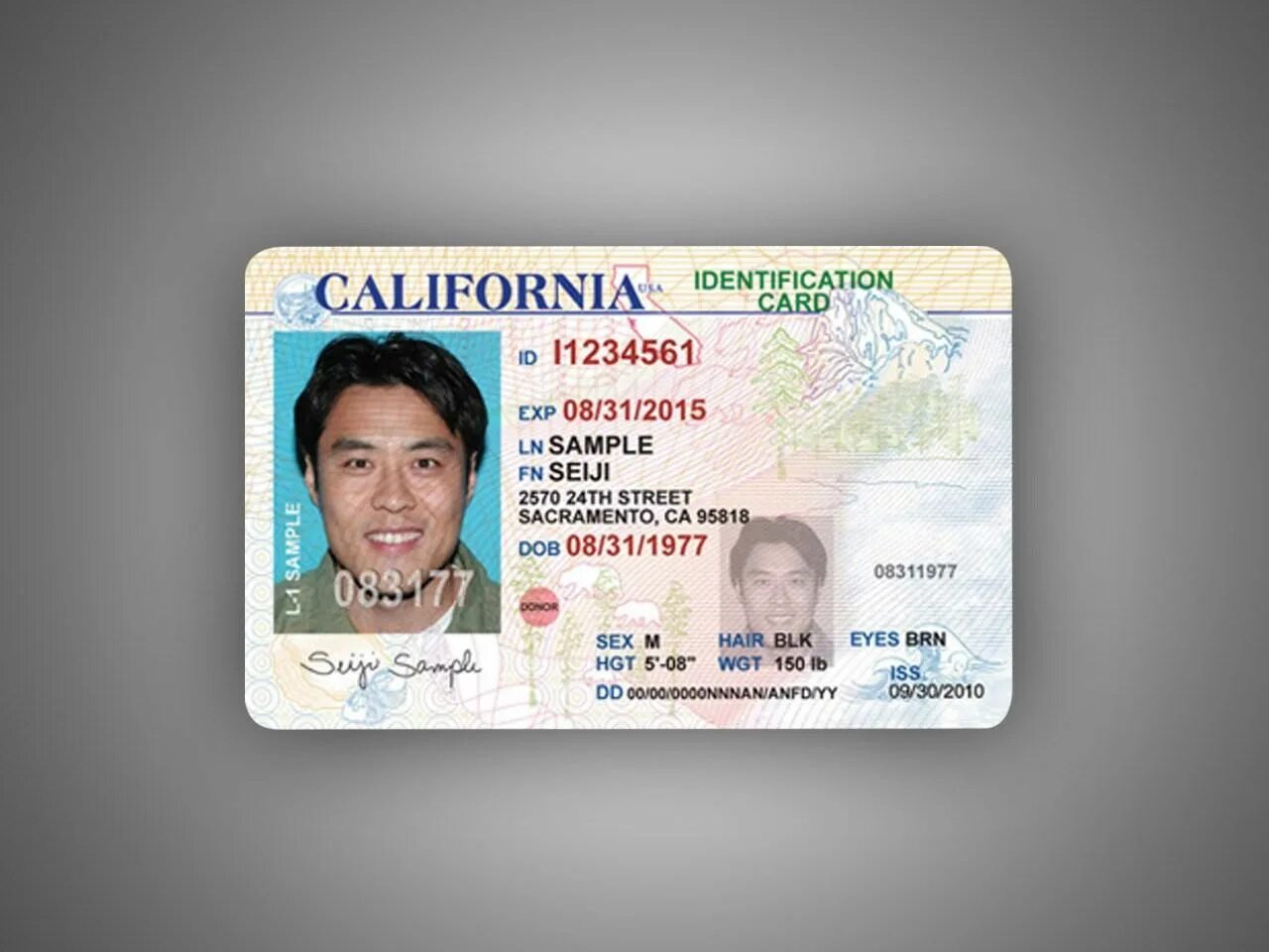 Что такое driver card. Id карта. id card сша. американская айди карта.