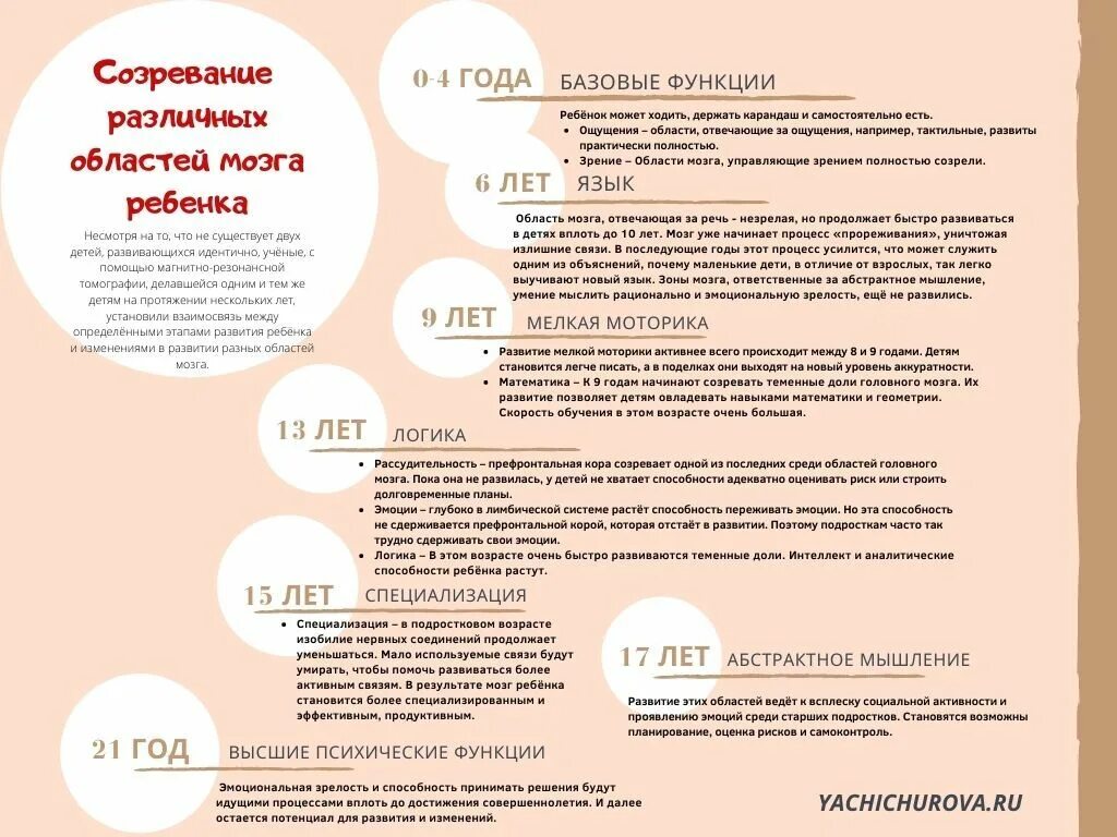 Этапы развития мозга ребенка по годам. Этапы формирования мозга ребенка. Этапы созревания мозга у детей. Этапы созревания головного мозга.