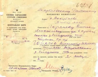 Дивизия пропавшая без вести