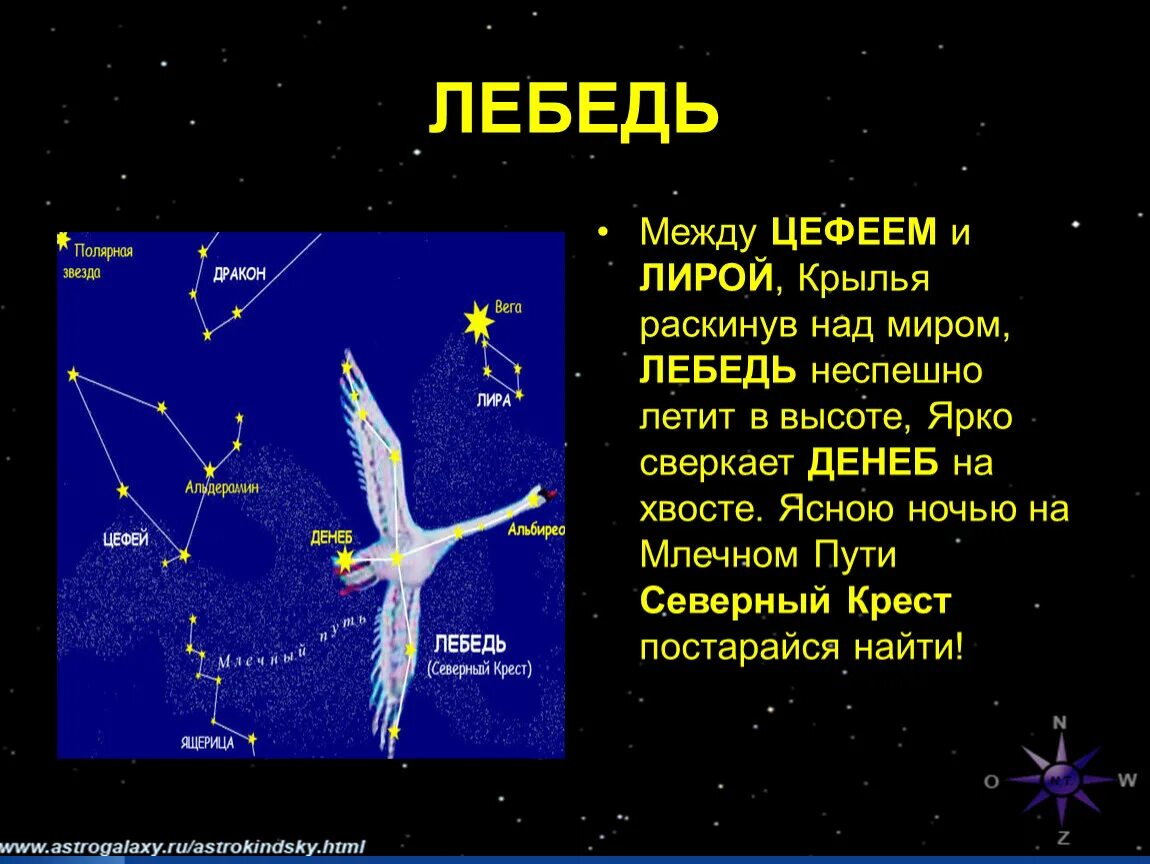 Созвездия 4 класс. Созвездие лебедь рассказ для 2 класса. Созвездие лебедь окружающий мир 2 класс. Созвездие лебедь рассказ для детей 2 класса окружающий мир. Созвездие лебедь краткое описание для детей 2 класса.