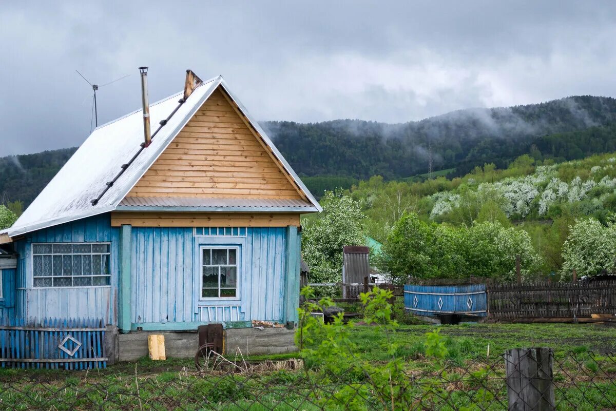 Объявление село алтайское. Село Алтайское Алтайский край. Михайловская деревня Алтай. Полодово село Алтайское. Токио Алтайский край село Алтайское.