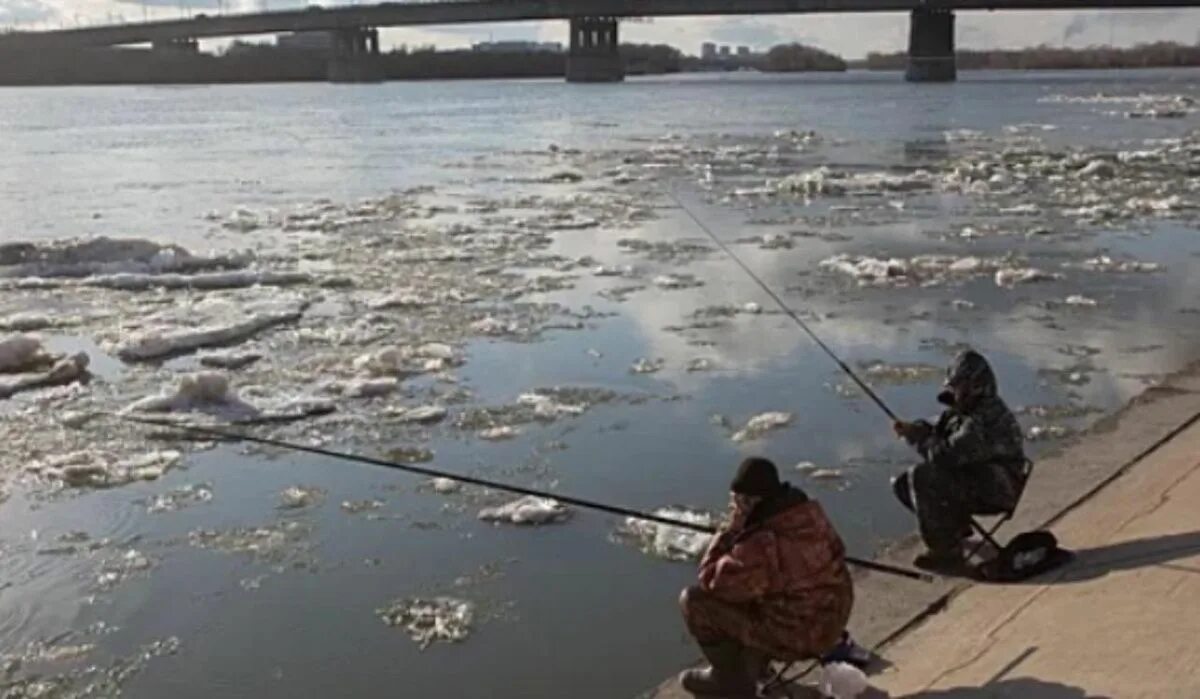 Река Иртыш Омск. Грязная река Иртыш Омск. Загрязнение воды ртутью. Загрязнение Иртыша. Омск под водой