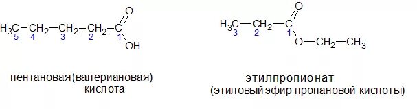 Метиловый эфир бутановой кислоты