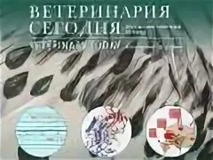 Ветеринарные дневники. Вет журнал. Мелкие домашние и дикие животные. Журналы для ветеринарной аптеки. Сайт ветеринарной клиники шаблон.