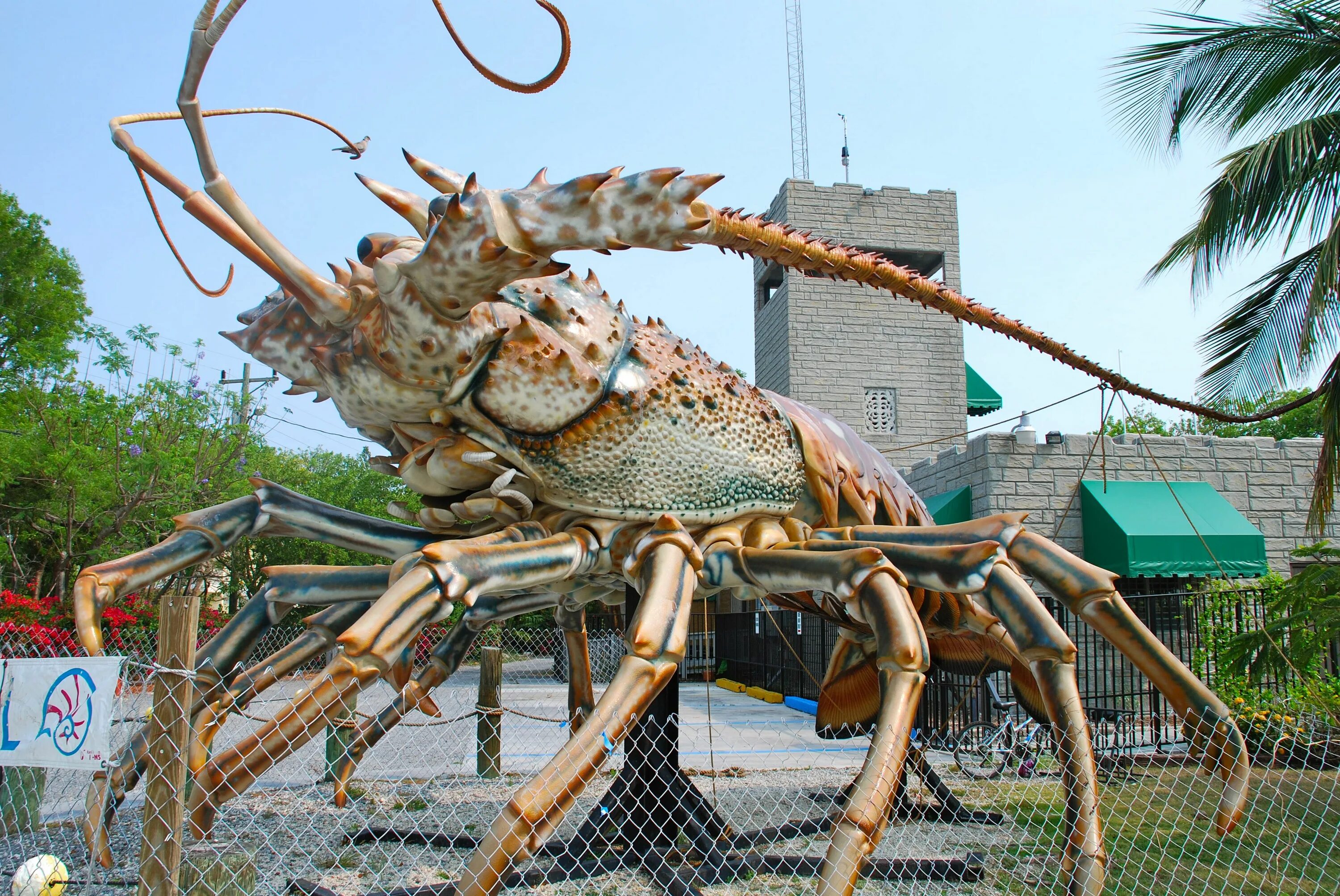 Giant Lobster. Радужный Омар лобстер. Желтый Омар. Самый большой Омар.