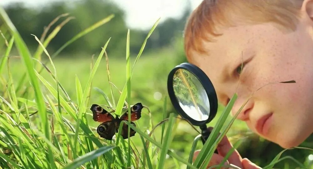 Дети изучают природу. Изучение природы. Ребенок наблюдает.