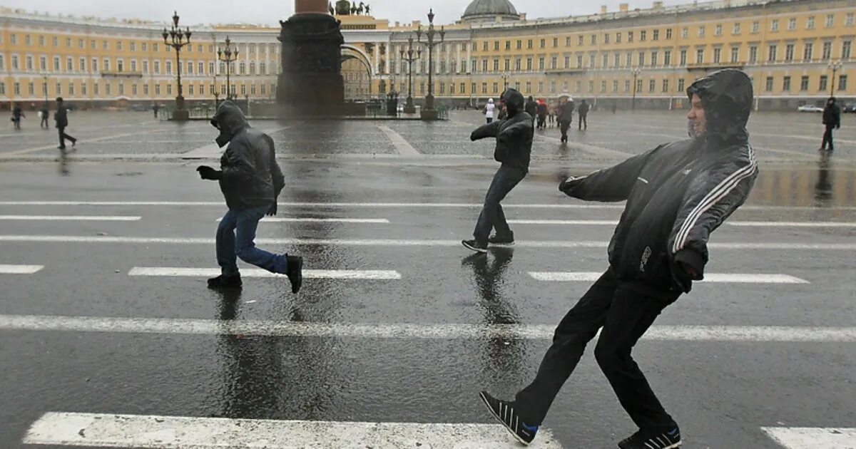 Веселый дождь города. Сильный ветер в Санкт-Петербурге. Сильный ветер в Питере. Дождь в Питере. Шторм в Санкт-Петербурге.