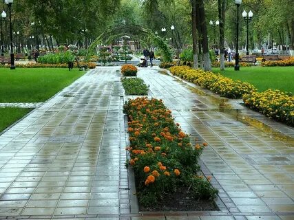 Скверы парки рядом