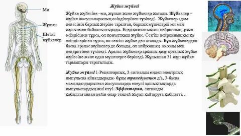 Сансыз етік секс видеоларын қараңыз