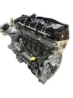 N 55
