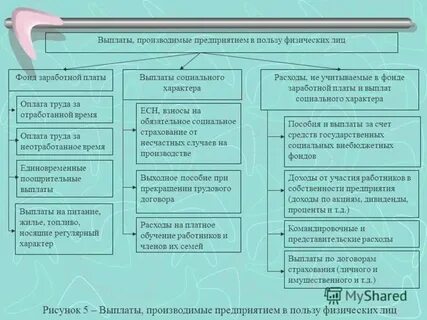 Социальная заработная плата это