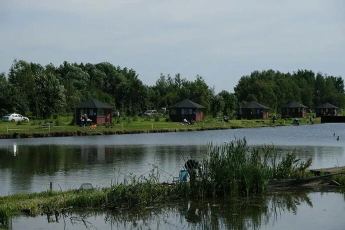 Озеро Игумное платная рыбалка. Лагуна озеро Игумное. Рыбалка Игумное Лагуна. Озеро Игумное Московская область.