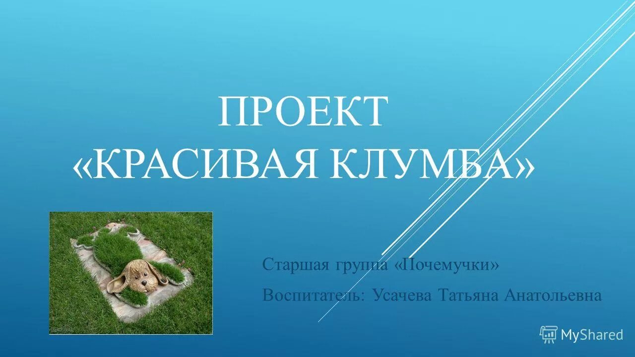 Красивый проект презентация. Образцы слайдов. Как оформить презентацию. Красивый проект презентация. Слайд чуть проекта красивая.