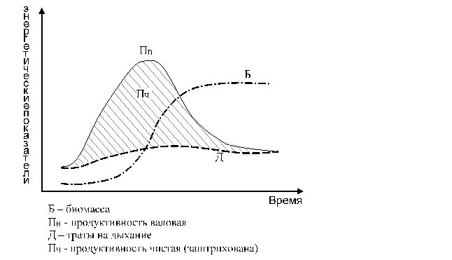 Схема развития экосистемы. Закономерности сукцессий экосистем. График экосистемы. Продуктивность экосистем график. Общие закономерности сукцессионного процесса.