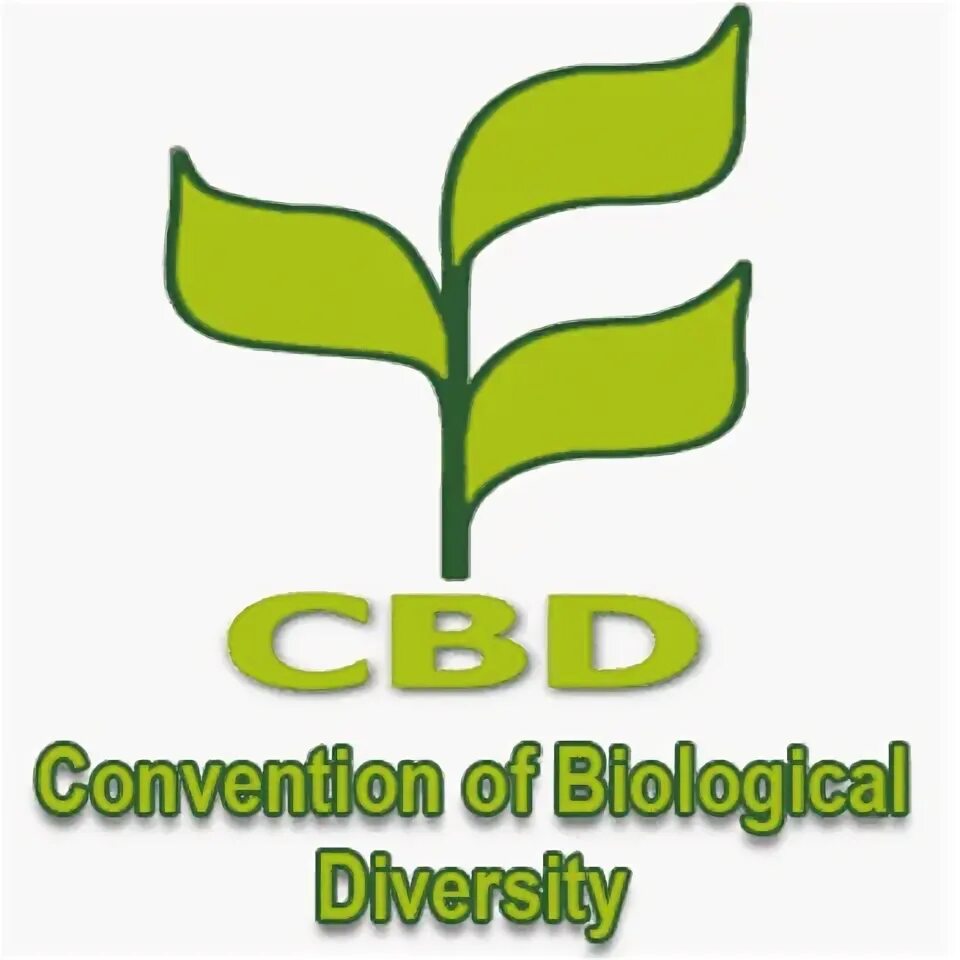 Convention on biological diversity 1992. Конвенция о биоразнообразии. Конвенция о биологическом разнообразии. Конвенция по сохранению биоразнообразия. Конвенция о биоразнообразии.
