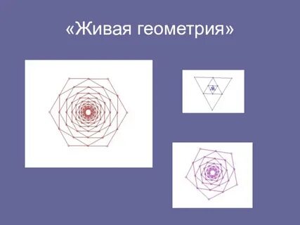 Живая геометрия