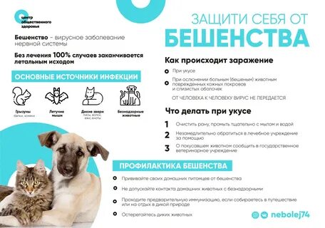 Причины бешенства