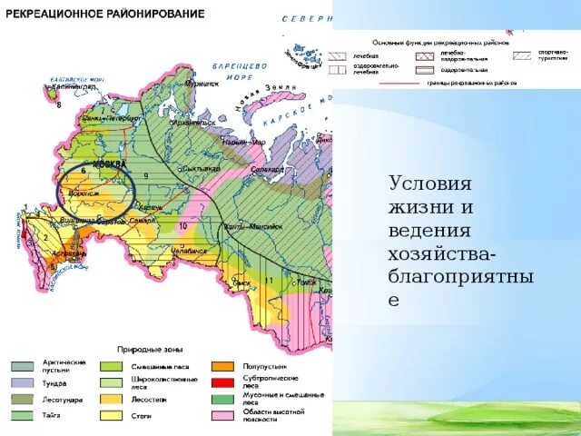 Какая природная зона в тульской области. Центральный Черноземный экономический район природные зоны. Природные зоны Центрально Черноземного района России. Центрально-Чернозёмный экономический район природные условия. Природные зоны центрального Черноземья.