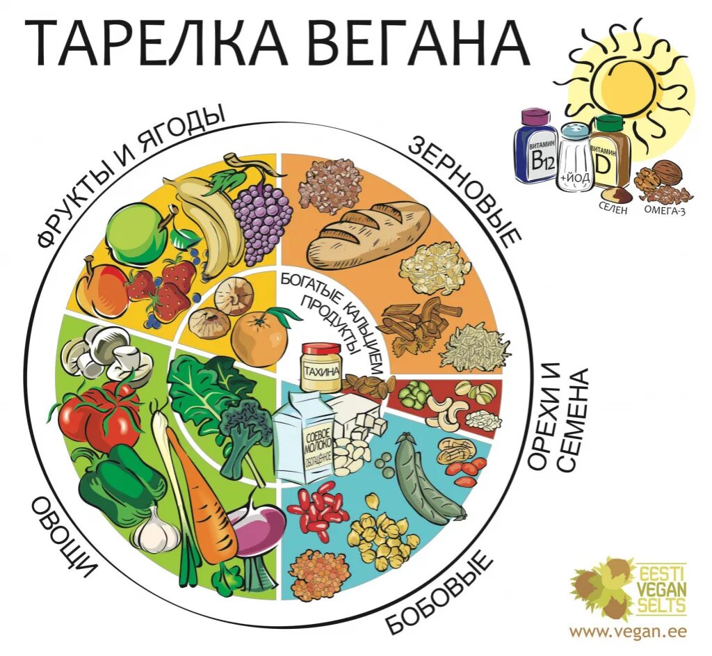 Что едят вегетарианцы продукты. Питание. Тарелки веганов. Тарелка правильного питания. Тарелка правильного питания для вегана.