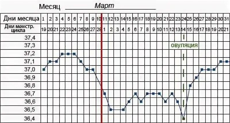 График зачатия. График при зачатии ребенка. График овуляции и зачатия. График благоприятных дней для зачатия ребенка в месячном. 2 овуляции в месяц