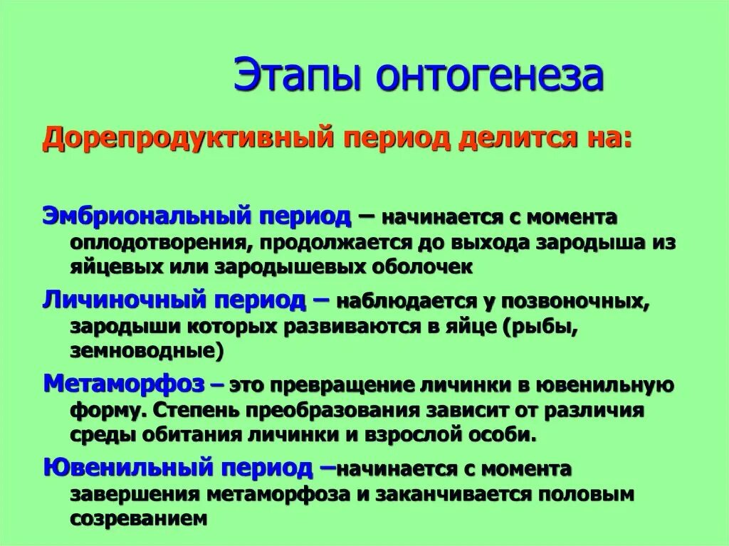 Свойство онтогенеза. Онтогенез этапы развития. Основные этапы оогннеза. Основные этапы онтогенеза. Онтогенез этапы онтогенеза.