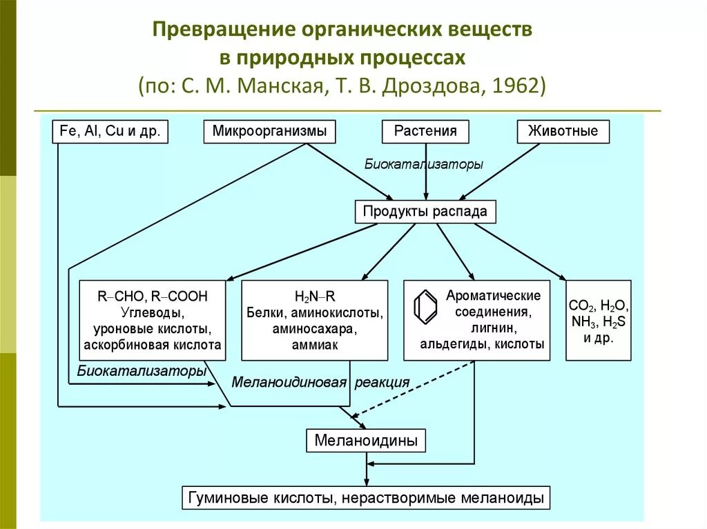 Какое значение отложение органических веществ в запас. Процессы трансформации органических веществ. Схема превращения органических веществ в организме. Превращение органических соединений химия. Взаимопревращение органических веществ.