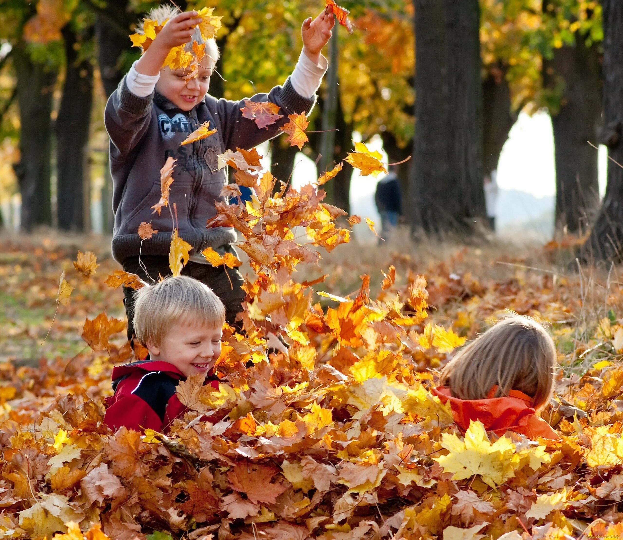 Листопад для детей. Осенние забавы. Листопад картинки для детей. Осень листопад дети.