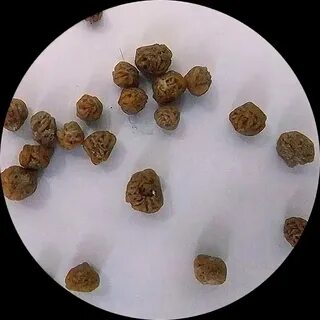 High stone как удалить