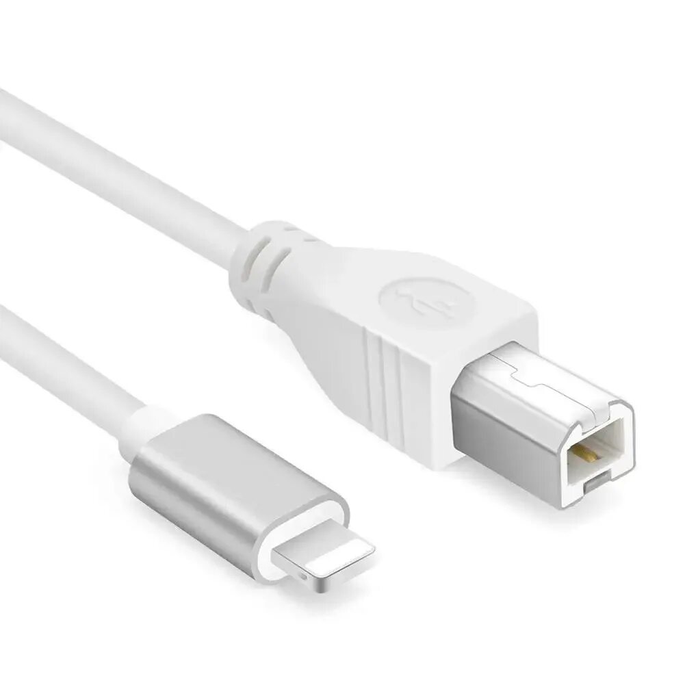 Type b купить. Apple Lightning - USB 2.0 Тип а. Midi - USB Type b кабель. Адаптер OTG Lightning Type-c. USB B Lightning.