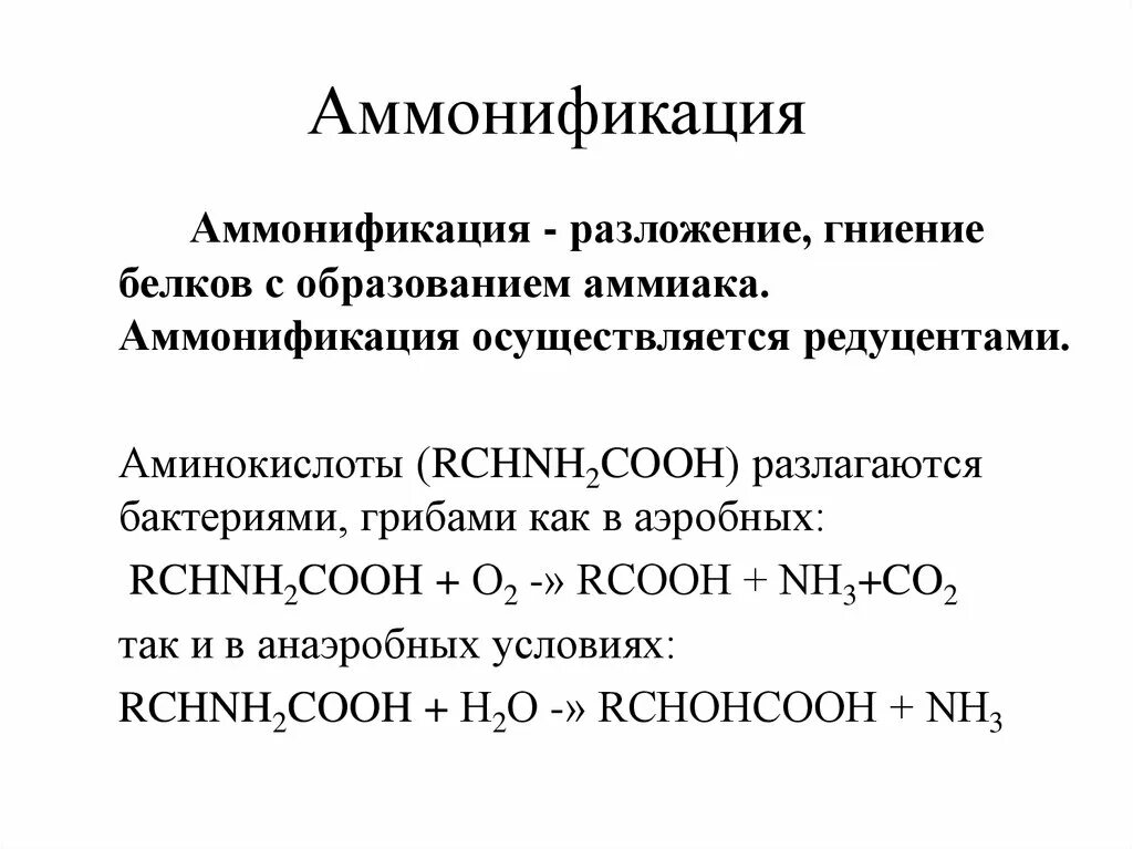 Схема аммонификации белков. Аммонификация белков реакция. Продукты аммонификации белковых веществ в анаэробных условиях. Аммонификация уравнение реакции. Аммонификация