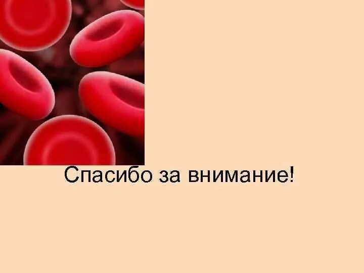 Анемия москве. Спасибо за внимание кровь. Спасибо за внимание анемия. Спасибо за внимание клетки крови.