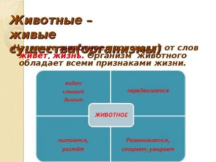 Значение слова живое существо