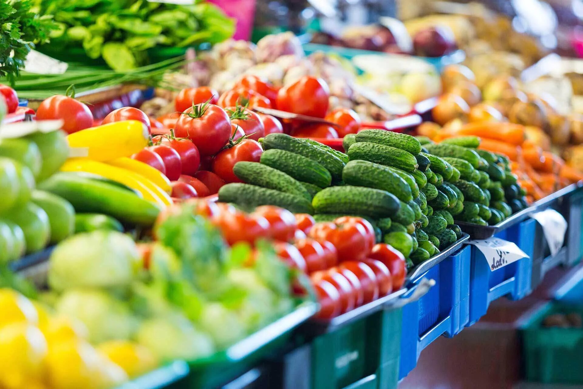 Мева-сабзавотчилик кластер. Овощи на рынке. Продукты овощи. Овощи на прилавке. Vegetables market