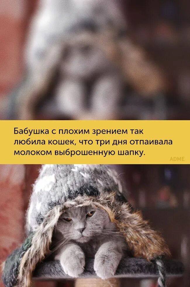 Все вижу прикол. Приколы про плохое зрение. шутки про плохое зрение. мемы про плохое зрение. человек с плохим зрением прикол.