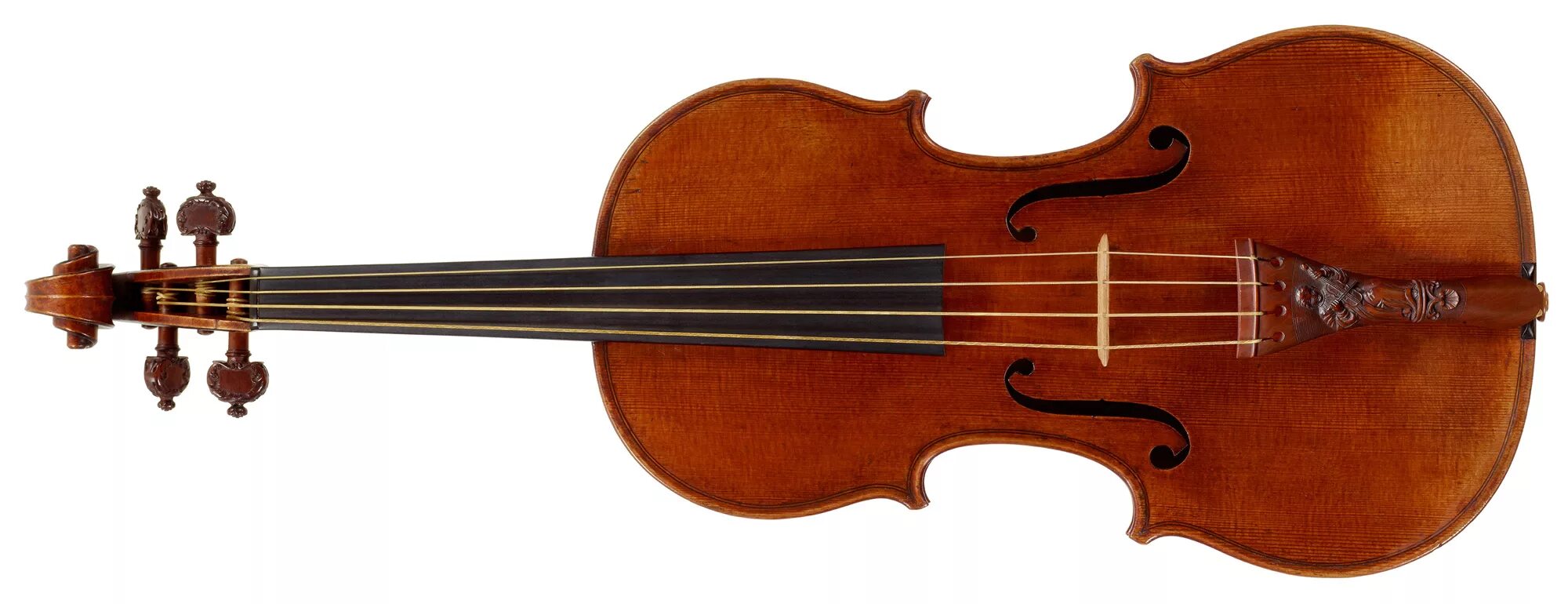 Скрипки Николо Амати. Brahner BC-11 виолончель 4/4. Виолончель Brahner BC-11.. Скрипка род