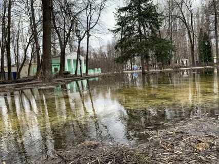 Вода в реке воронеж в липецке