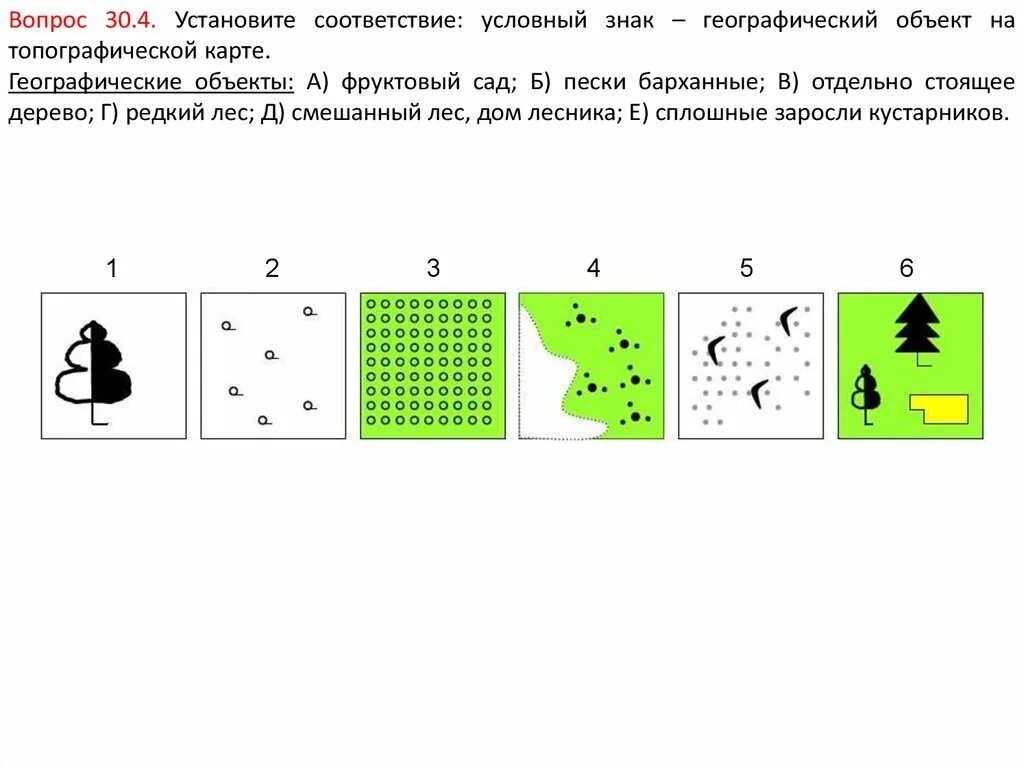 Условные обозначения редкий лес. Редкий лес условный знак. Условные знаки редкий лес география. Географический условный знак редкий лес. Обозначения леса на карт