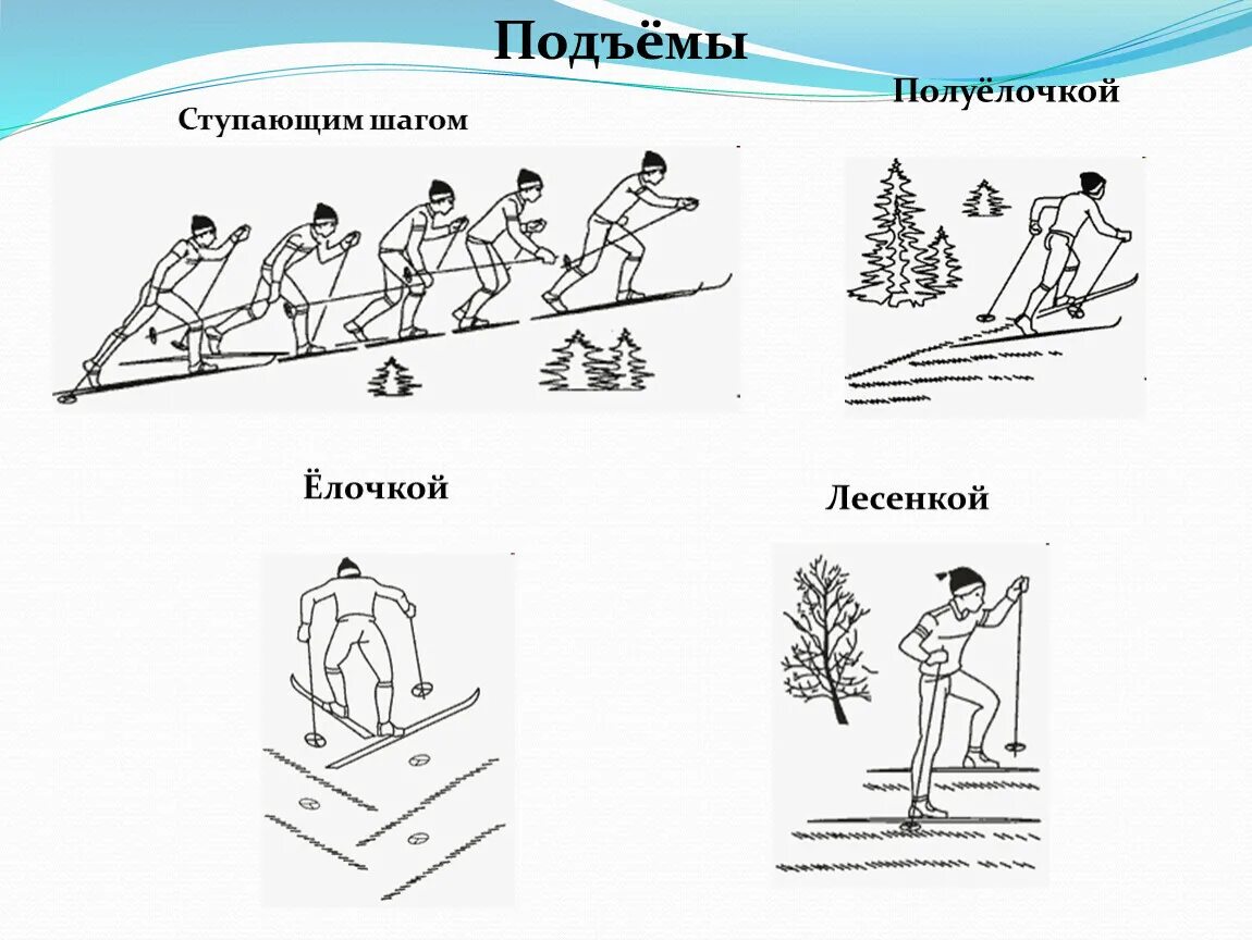 Подъем шагом. Лыжная подготовка подъем полуелочкой. Подъем ступающим шагом на лыжах. Техника подъема ступающим шагом. Подъем скользящим шагом.