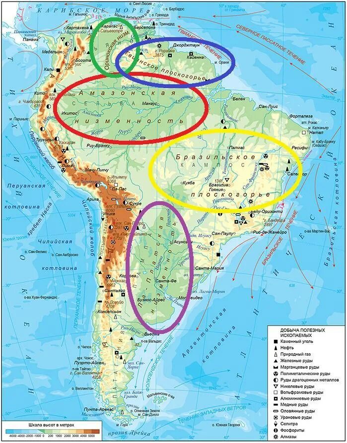 Оринокская низменность на карте Южной Америки. Южная Америка Гвианское плоскогорье. Оринокская низменность на физической карте Южной Америки. Бразильское и Гвианское плоскогорье.