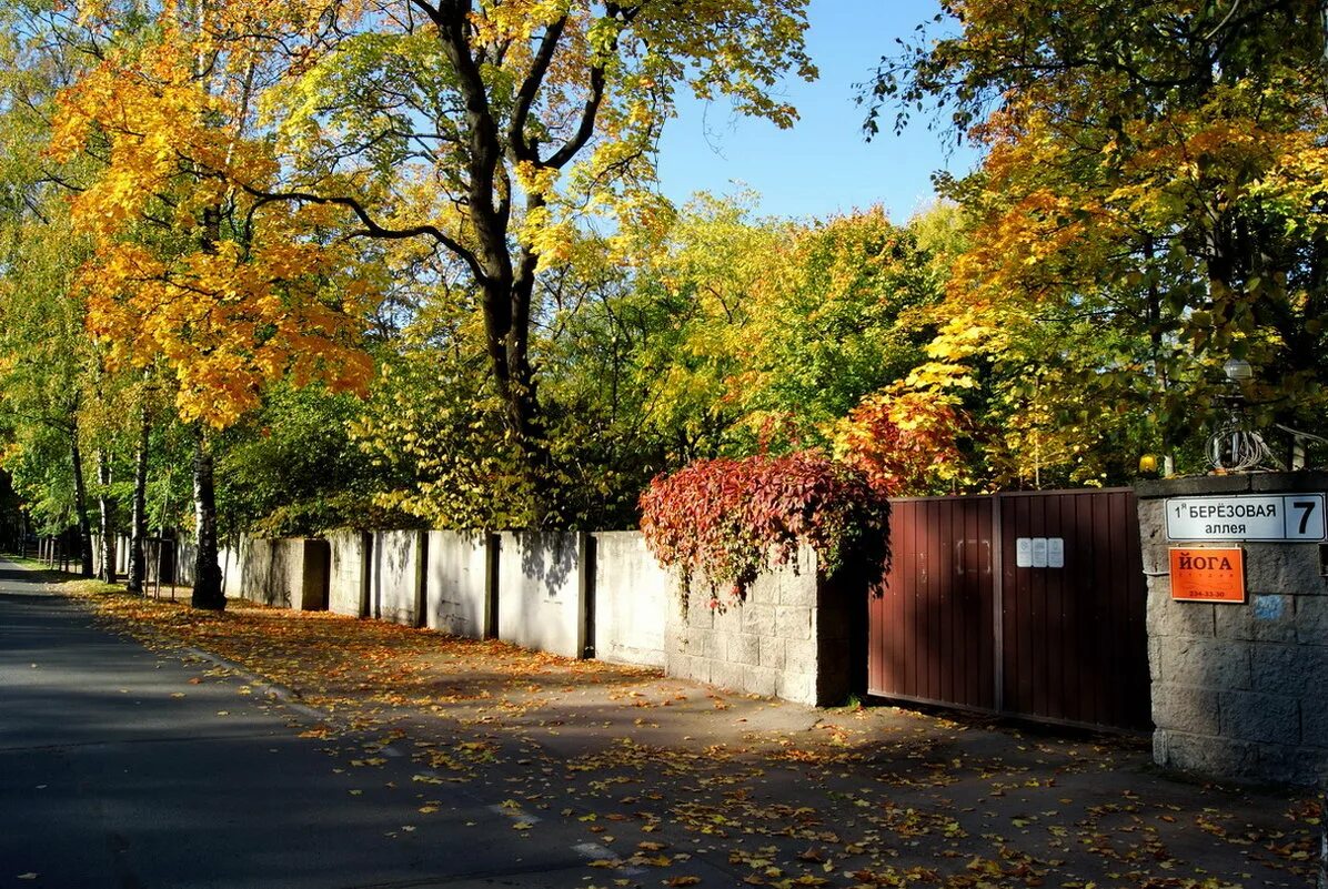 школа номер 638 пушкинского района. зеленогорск улочки. павловск пушкинский район школа 638. павловск. ул берёзовая аллея 9.