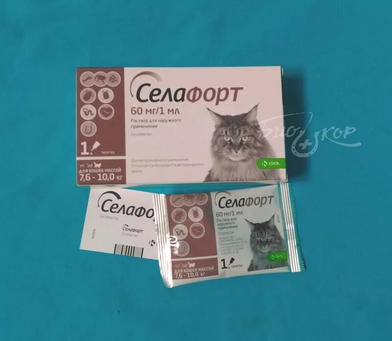 Через сколько действует селафорт. Селафорт 60мг кошки. селафорт для кошек от глистов. селафорт для кошек 7,6 -10 кг, 1 х 60мг1мл. селафорт 15мг0,25мл для котятщенков до 2,5кг.