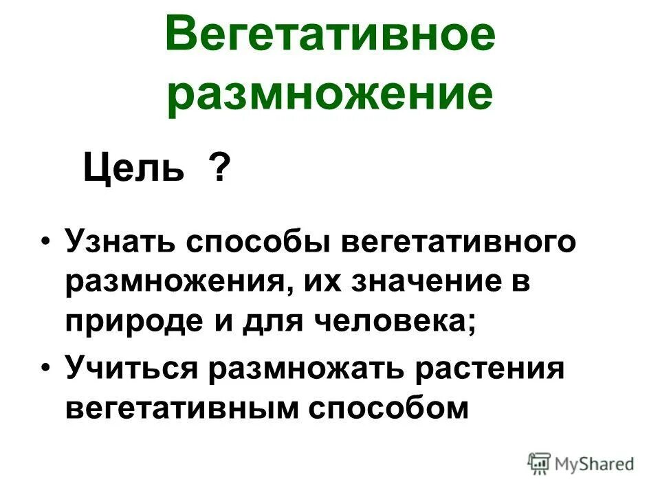 Поиск смысла жизни иллюстрации. Зачем люди размножаются. Деревья размножаются. Как размножаются люди. Как размножаются люди процесс.