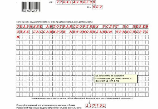 Предпринимательская деятельность идентификационный код. Вид предпринимательской деятельности в заявлении на патент. Код предпринимательской деятельности для патента 2021.